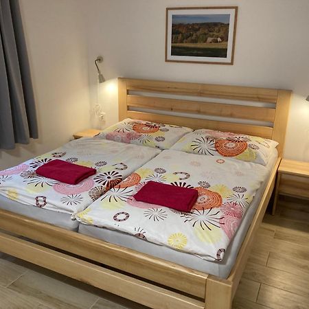 Sedivinske Apartmany - Rodinne Apartmany V Orlickych Horach Kounov Luaran gambar