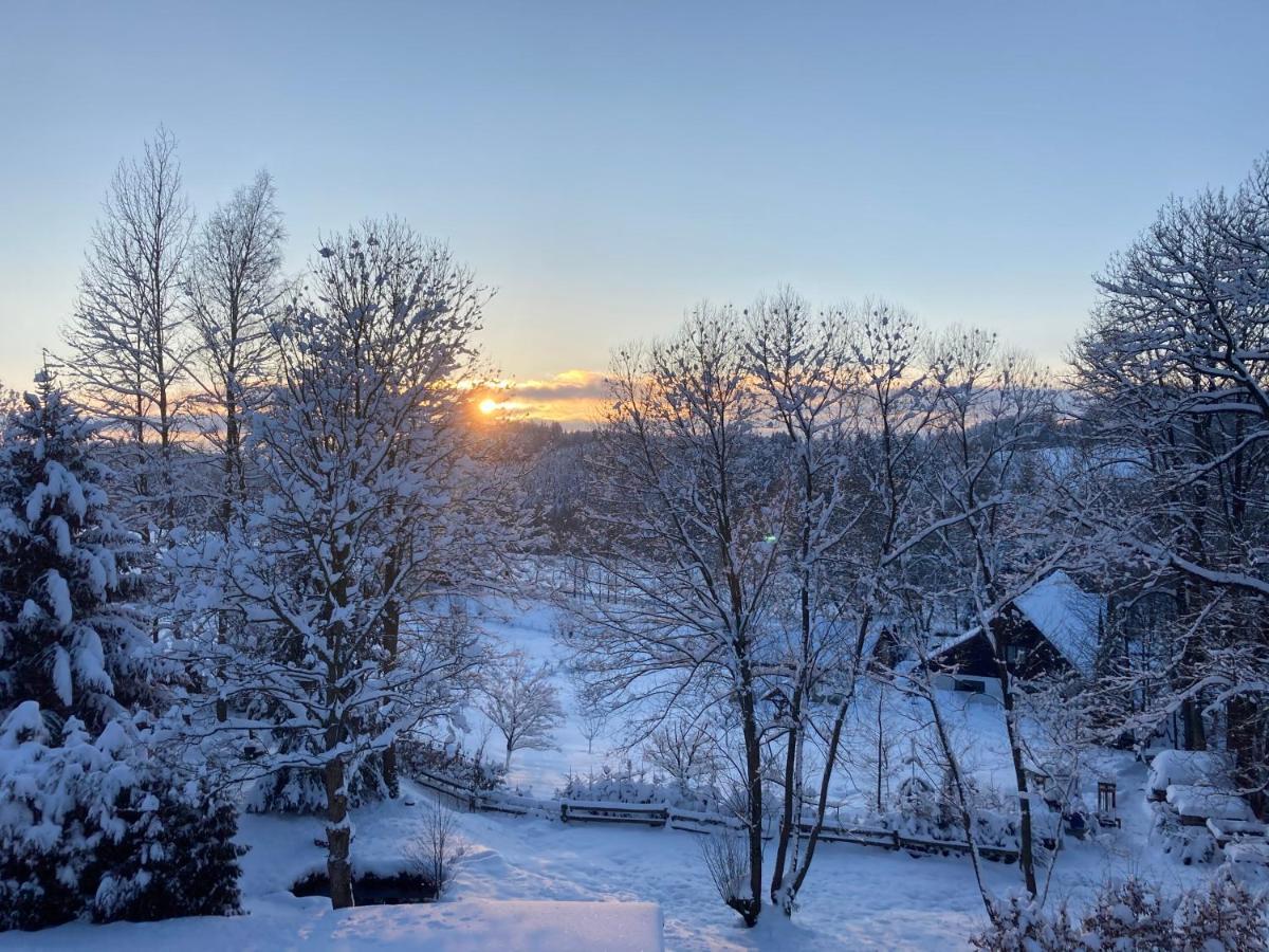 Sedivinske Apartmany - Rodinne Apartmany V Orlickych Horach Kounov Luaran gambar