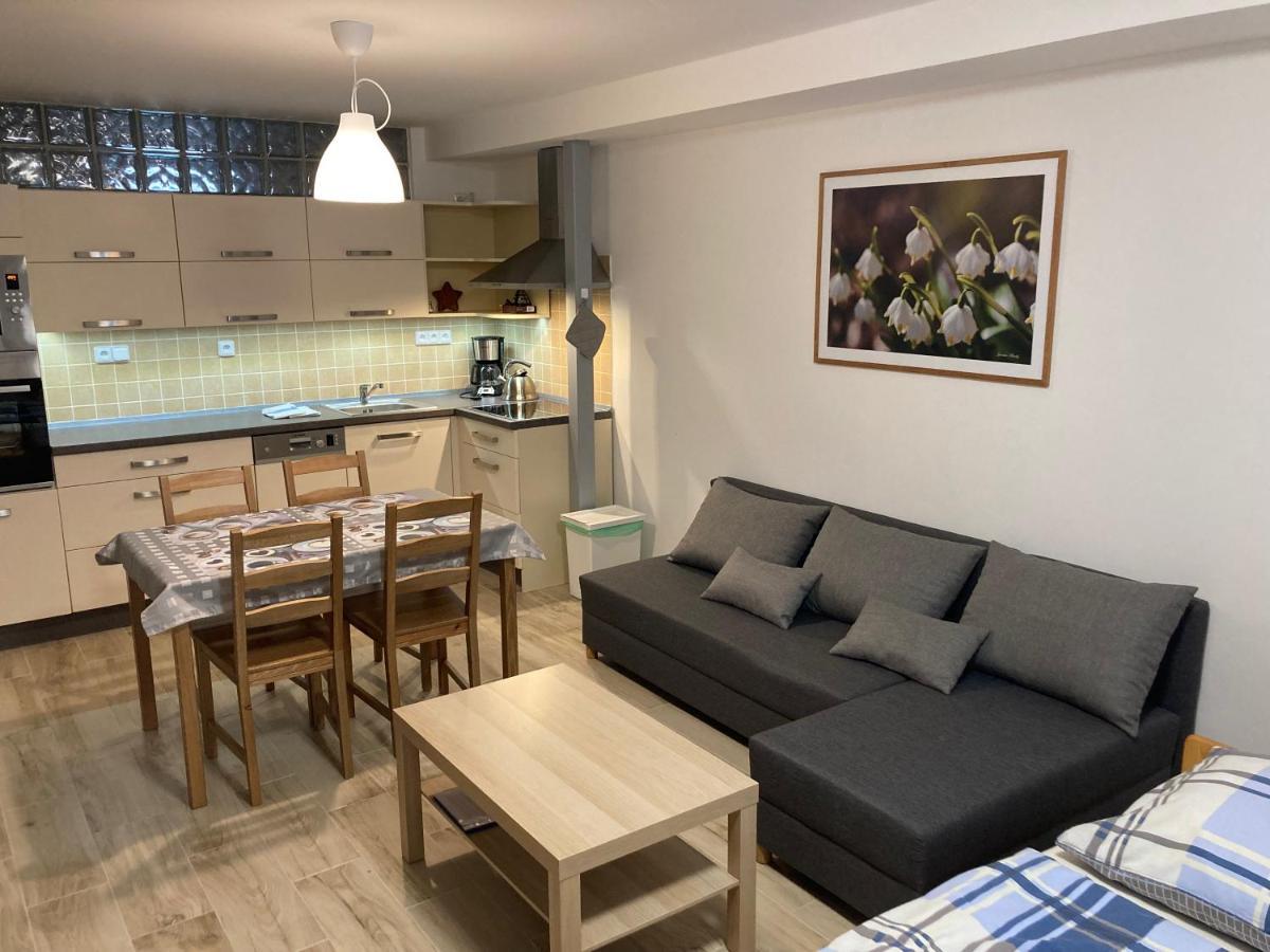 Sedivinske Apartmany - Rodinne Apartmany V Orlickych Horach Kounov Luaran gambar