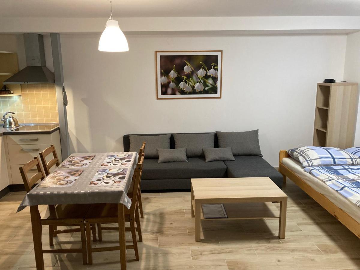 Sedivinske Apartmany - Rodinne Apartmany V Orlickych Horach Kounov Luaran gambar