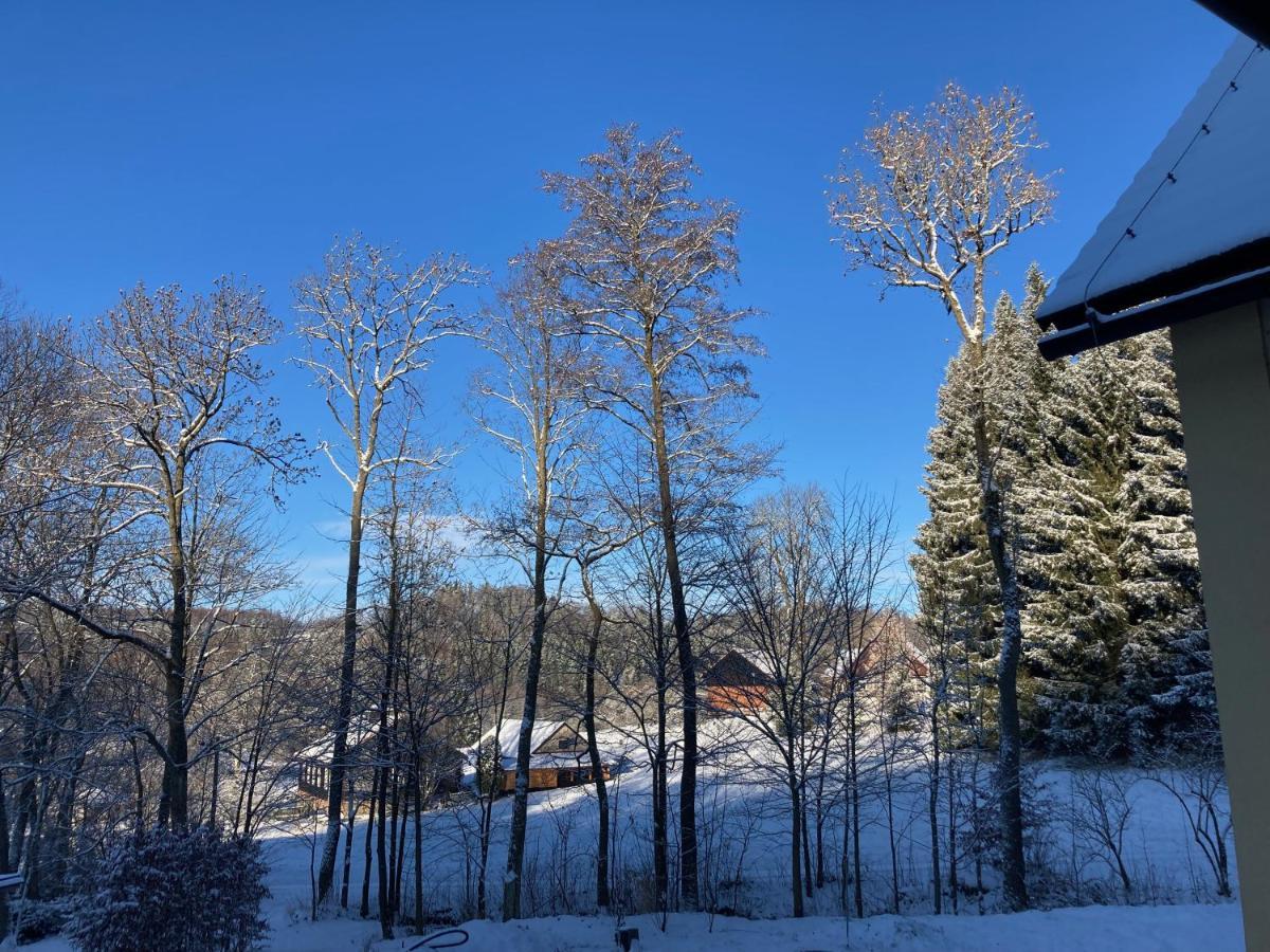 Sedivinske Apartmany - Rodinne Apartmany V Orlickych Horach Kounov Luaran gambar