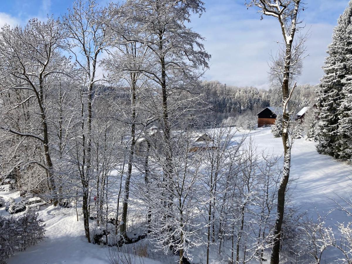 Sedivinske Apartmany - Rodinne Apartmany V Orlickych Horach Kounov Luaran gambar