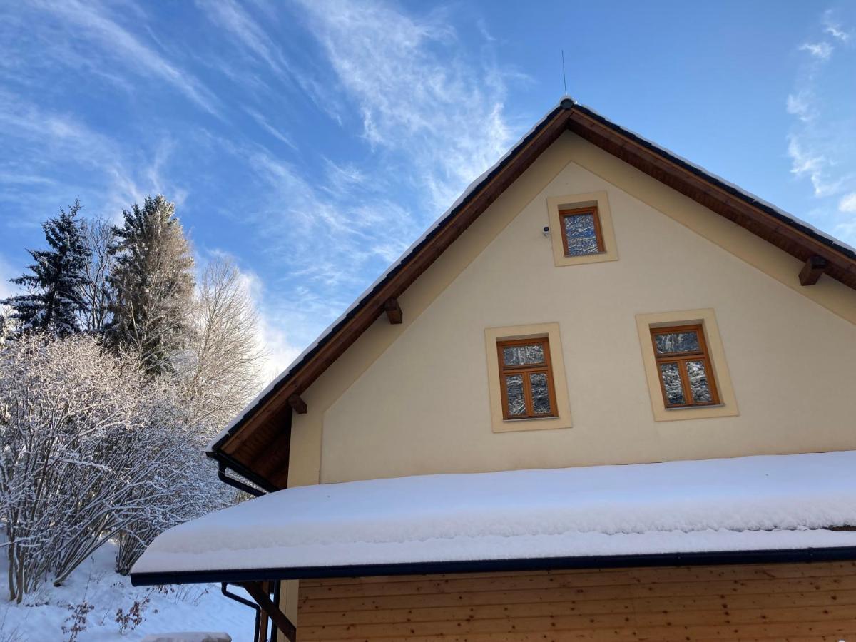 Sedivinske Apartmany - Rodinne Apartmany V Orlickych Horach Kounov Luaran gambar