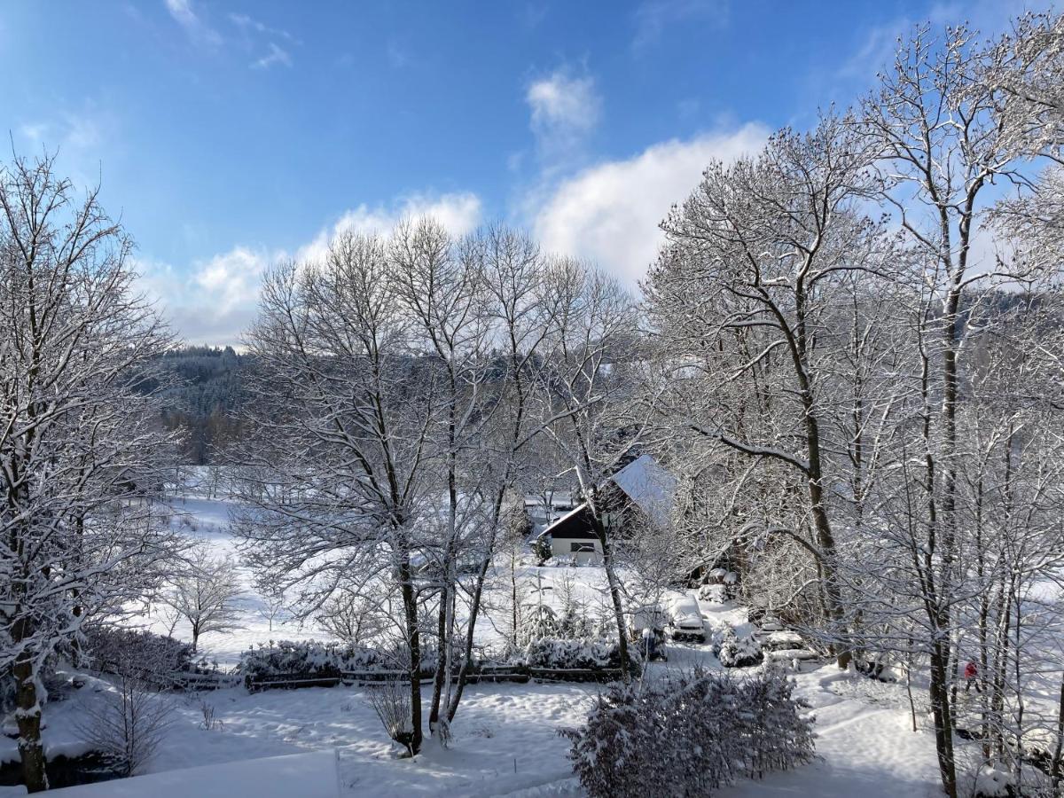 Sedivinske Apartmany - Rodinne Apartmany V Orlickych Horach Kounov Luaran gambar