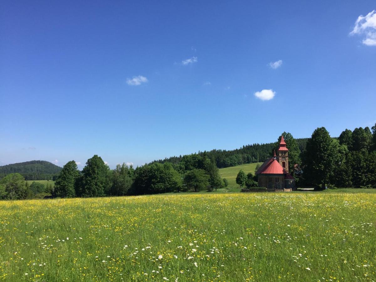 Sedivinske Apartmany - Rodinne Apartmany V Orlickych Horach Kounov Luaran gambar