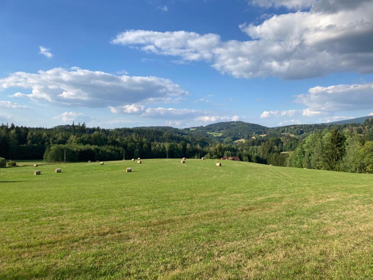 Sedivinske Apartmany - Rodinne Apartmany V Orlickych Horach Kounov Luaran gambar