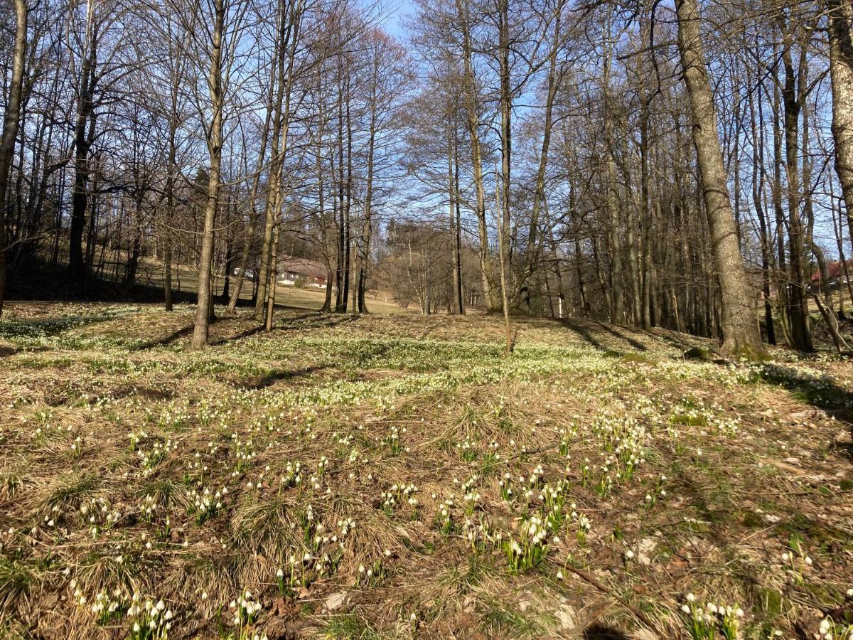 Sedivinske Apartmany - Rodinne Apartmany V Orlickych Horach Kounov Luaran gambar