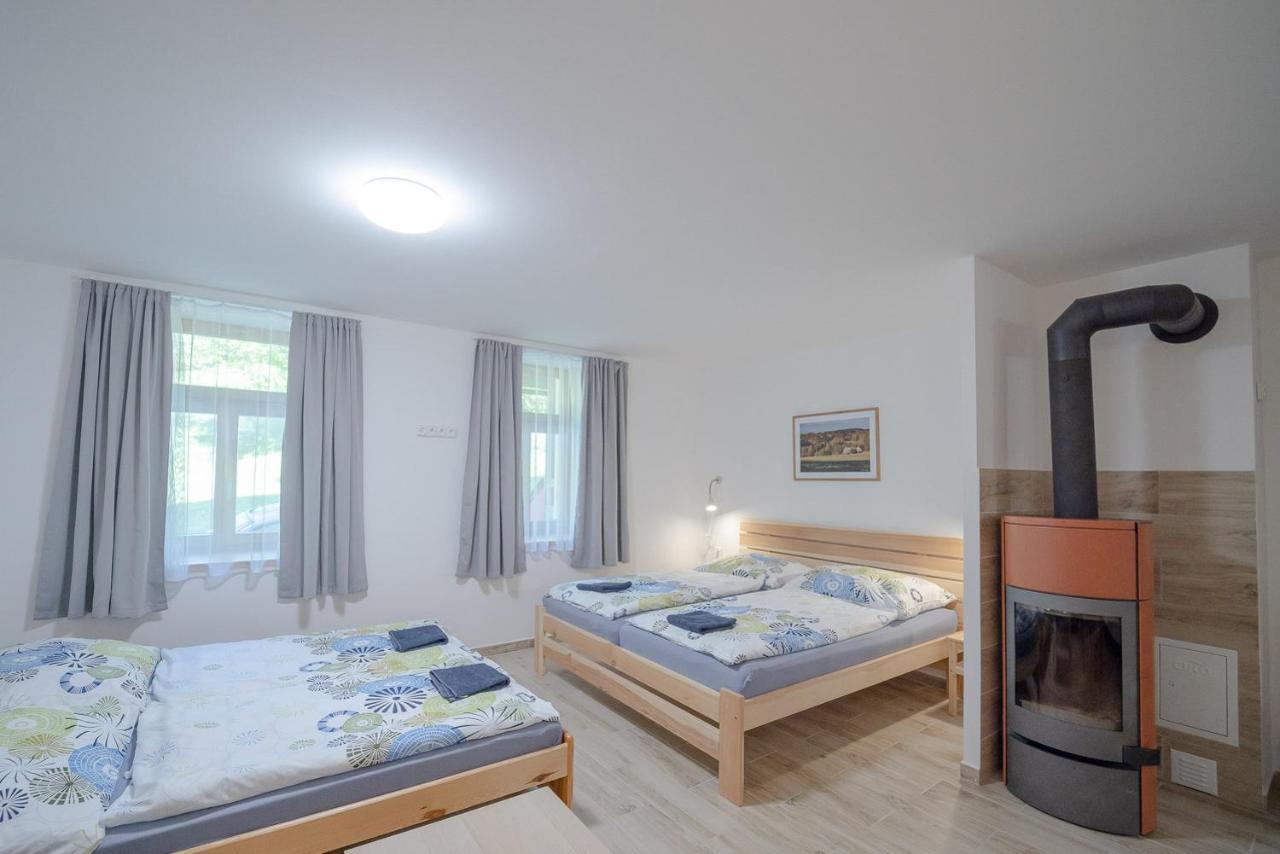 Sedivinske Apartmany - Rodinne Apartmany V Orlickych Horach Kounov Luaran gambar