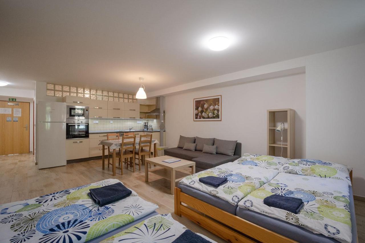Sedivinske Apartmany - Rodinne Apartmany V Orlickych Horach Kounov Luaran gambar